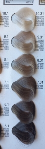Atricos Stylish Hair Colors стійка фарба для волосся-Пепельные тона